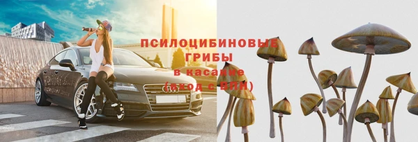 гашик Богородицк