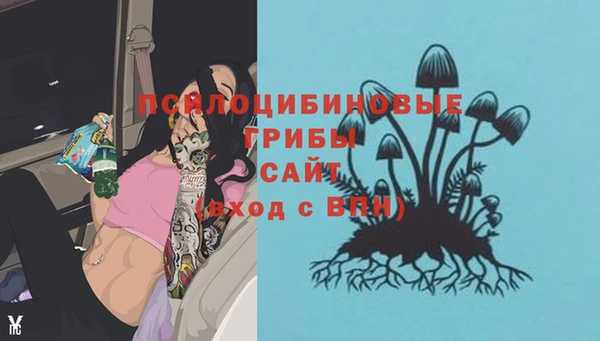 кристаллы Богородск